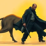 concurso de acreedores y la figura del culpable