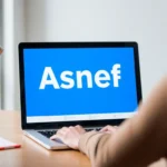 consulta gratuita para saber si estas en asnef por internet