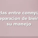 deudas entre conyuges en separacion de bienes y su manejo