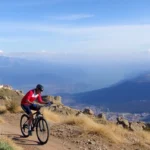 fondo buitre en espana caracteristicas y controversias