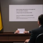 frecuencia de notificaciones del juzgado y toda la informacion necesaria