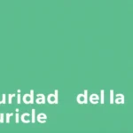 guia completa sobre embargos de la seguridad social y derechos del deudor
