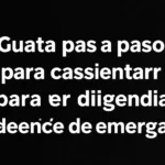 guia paso a paso para contestar diligencia de embargo aeat